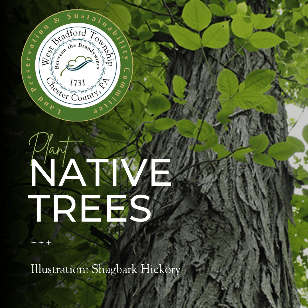 Plant Native Trees! (1) (2)