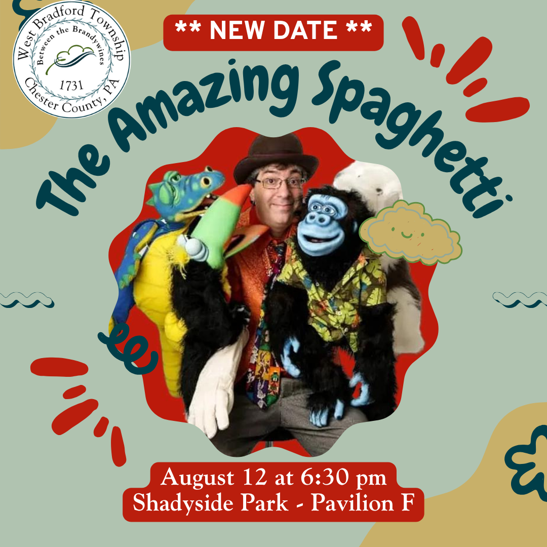 The Amazing Spaghetti (1)