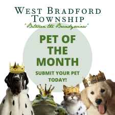 Pet of Th Month Logo